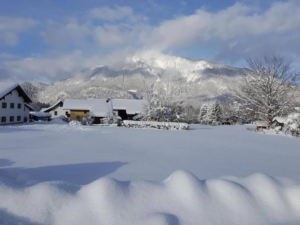 Chiemgauferienwohnungen - Wanderlust Und Alpenrose Unterwössen Exteriér fotografie